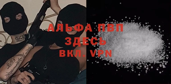 крисы Тында