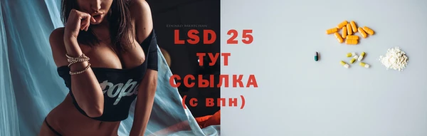 индика Бородино