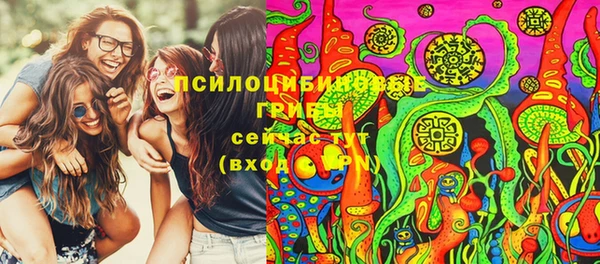 гидропоника Богданович