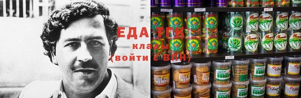 индика Бородино
