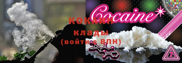 гидропоника Богданович