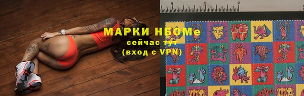 индика Бородино