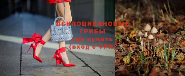 a pvp Туринск