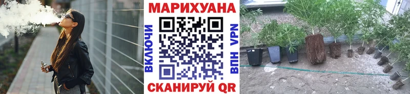 Бошки марихуана AK-47  продажа наркотиков  Мензелинск 
